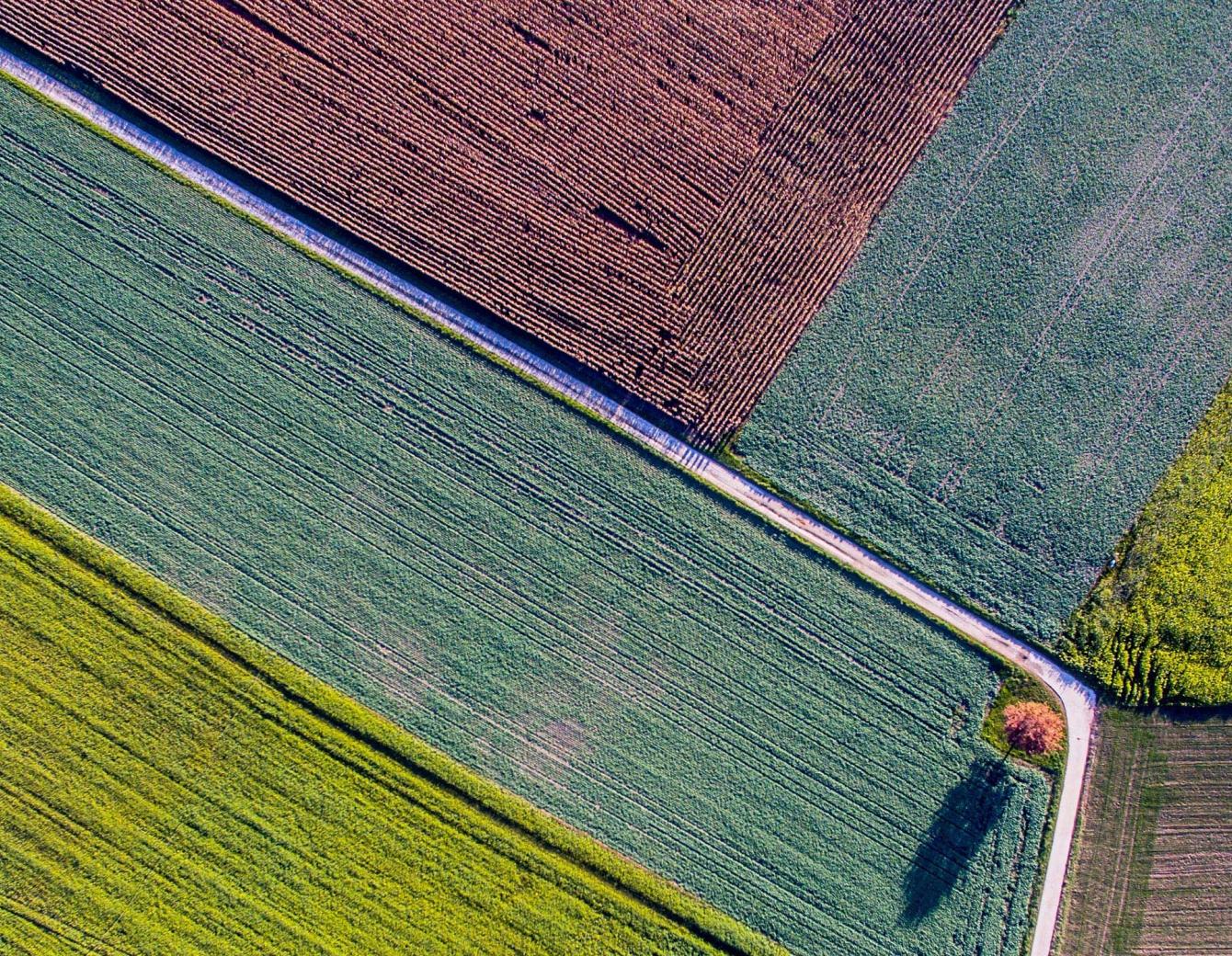 Aerial view of a field
