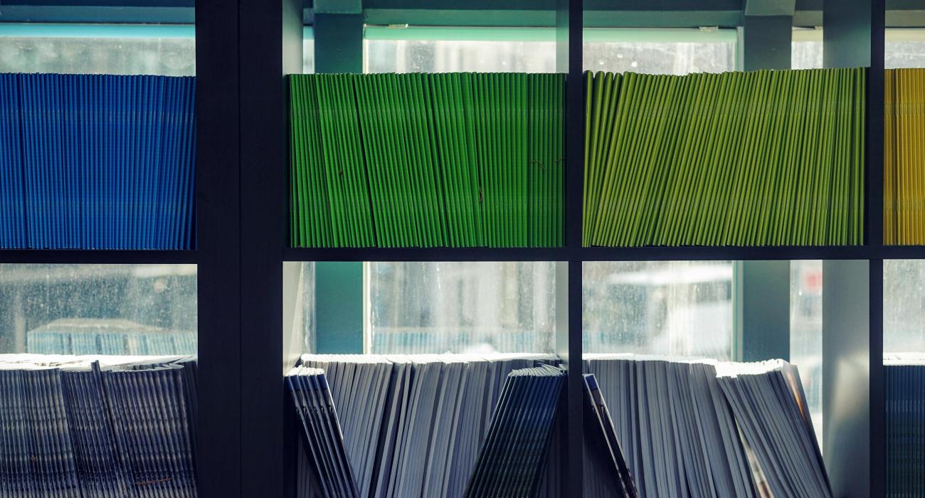Bookshelf lined with books organized by color against a sunny window